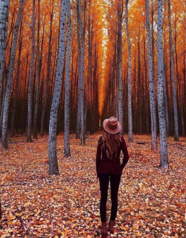 Screenshot_20230211_171144_Chrome