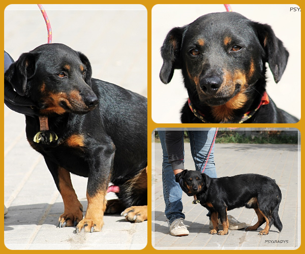 BeFunky-collage (18)