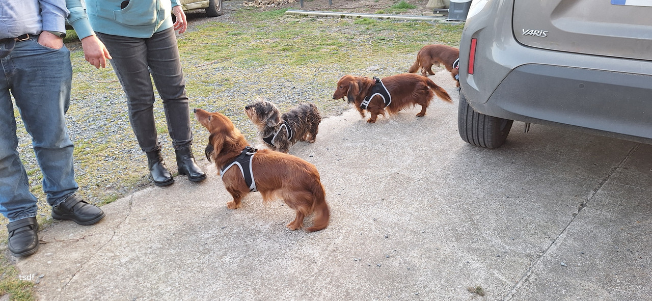 [Image: 20250306-181722.jpg]