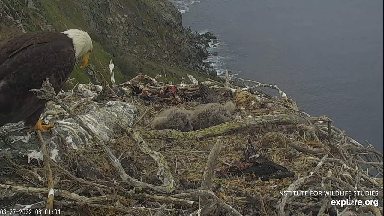 84F3AE16-5097-45AF-9C24-829030F90E29