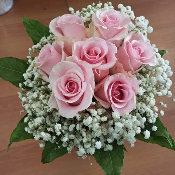 440413720-3739274336392405-4023244629210508783-n