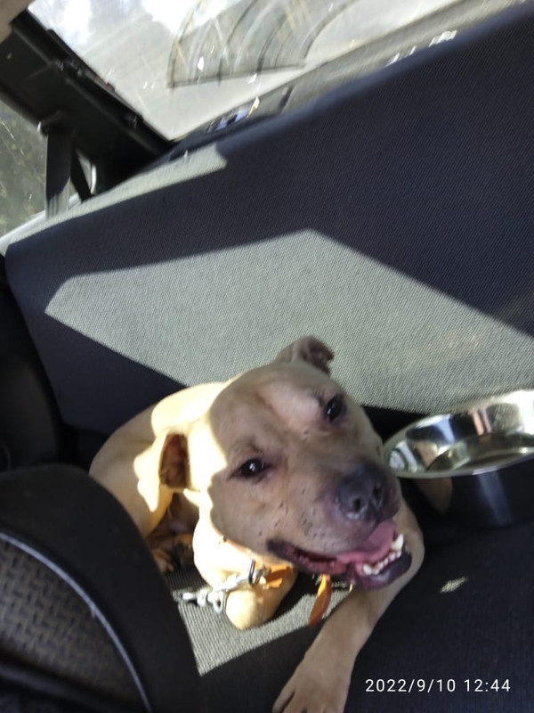 B79693DC-7760-4715-B2F0-78E2F2553803