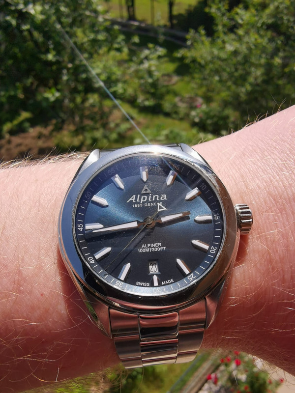 alpina danas