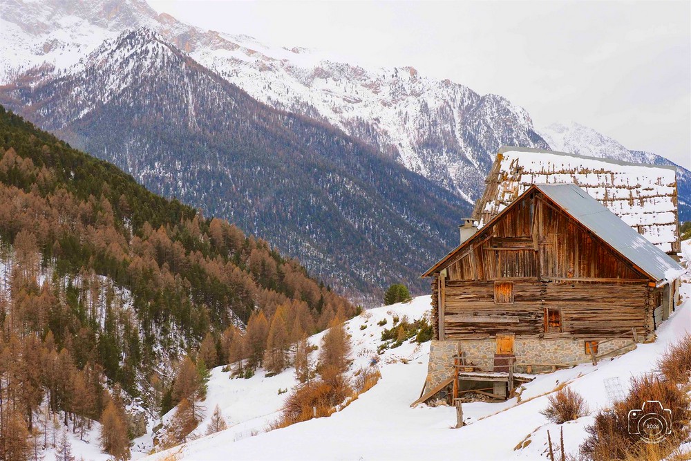 616380017-25461739593448954-931449171154186953-n