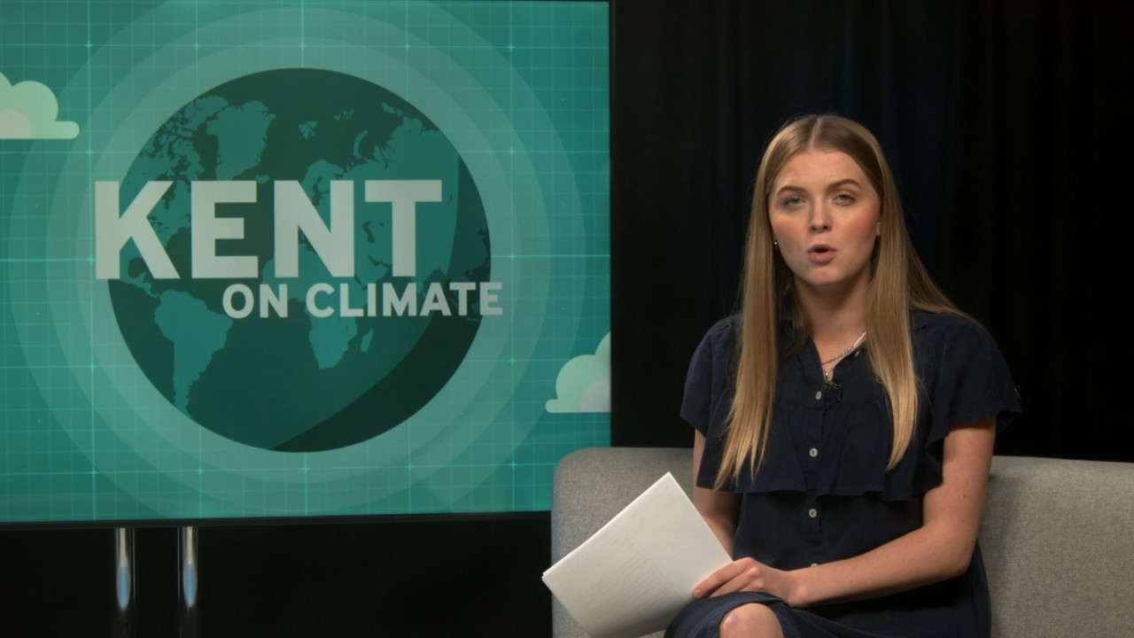 kent-on-climate-wednesday-30th-november-2022-freedownloadvideo.net.mp4_snapshot_26.39.000