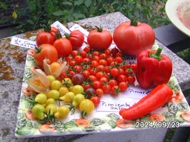[Bild: BILD0423.jpg]