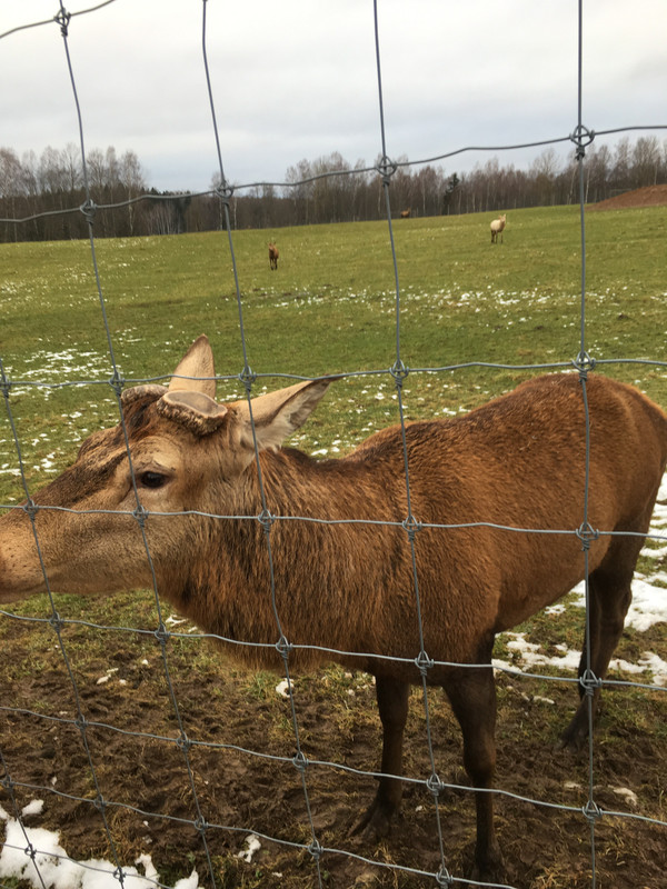 CCEEA24A-5299-4DF3-B0F5-45E1EB491A9D