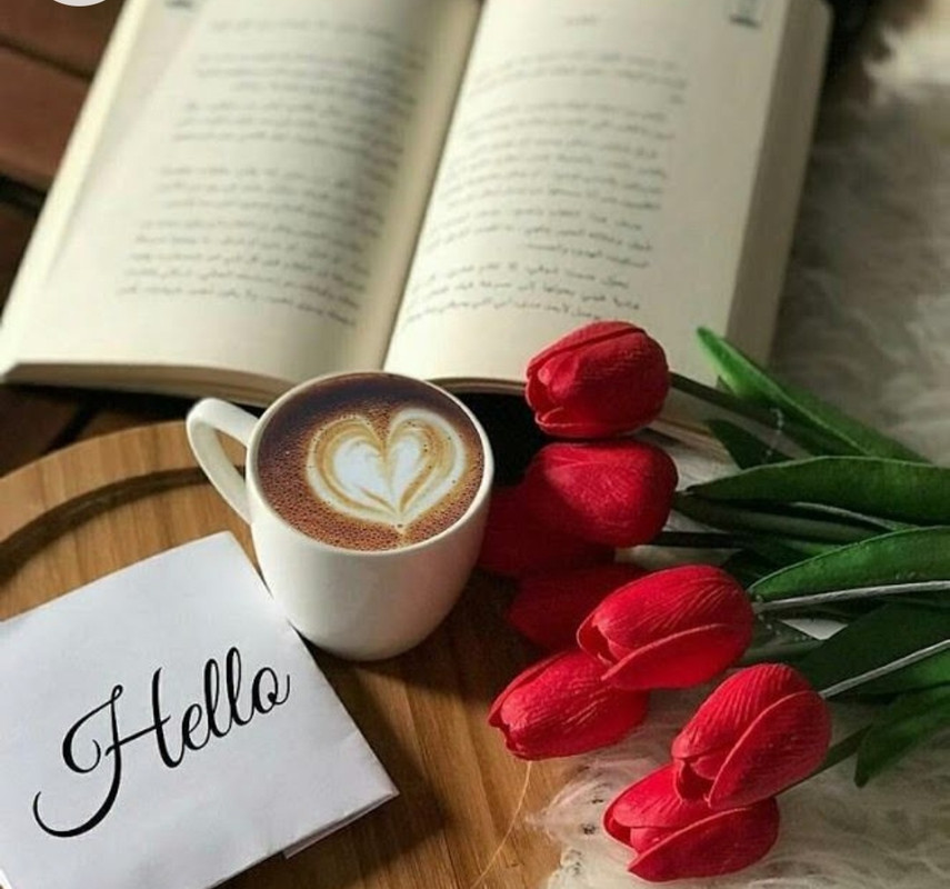 Screenshot_20221213-210239_Chrome