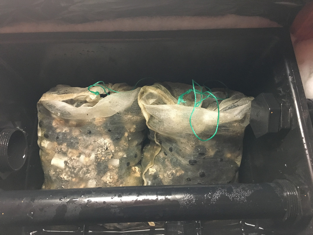 D9541234-60DE-4CFA-9958-38AC251D55FE