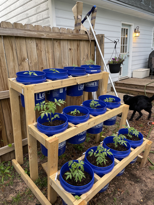 How To Build A 5 Gallon Bucket Garden 