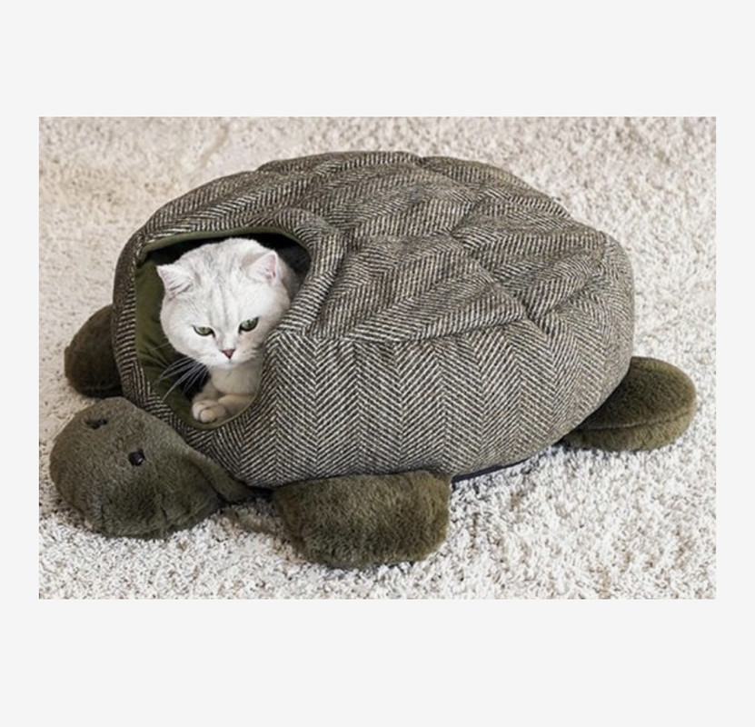 5A5B3DF2-4CA1-44C6-BC60-A8D021612A85