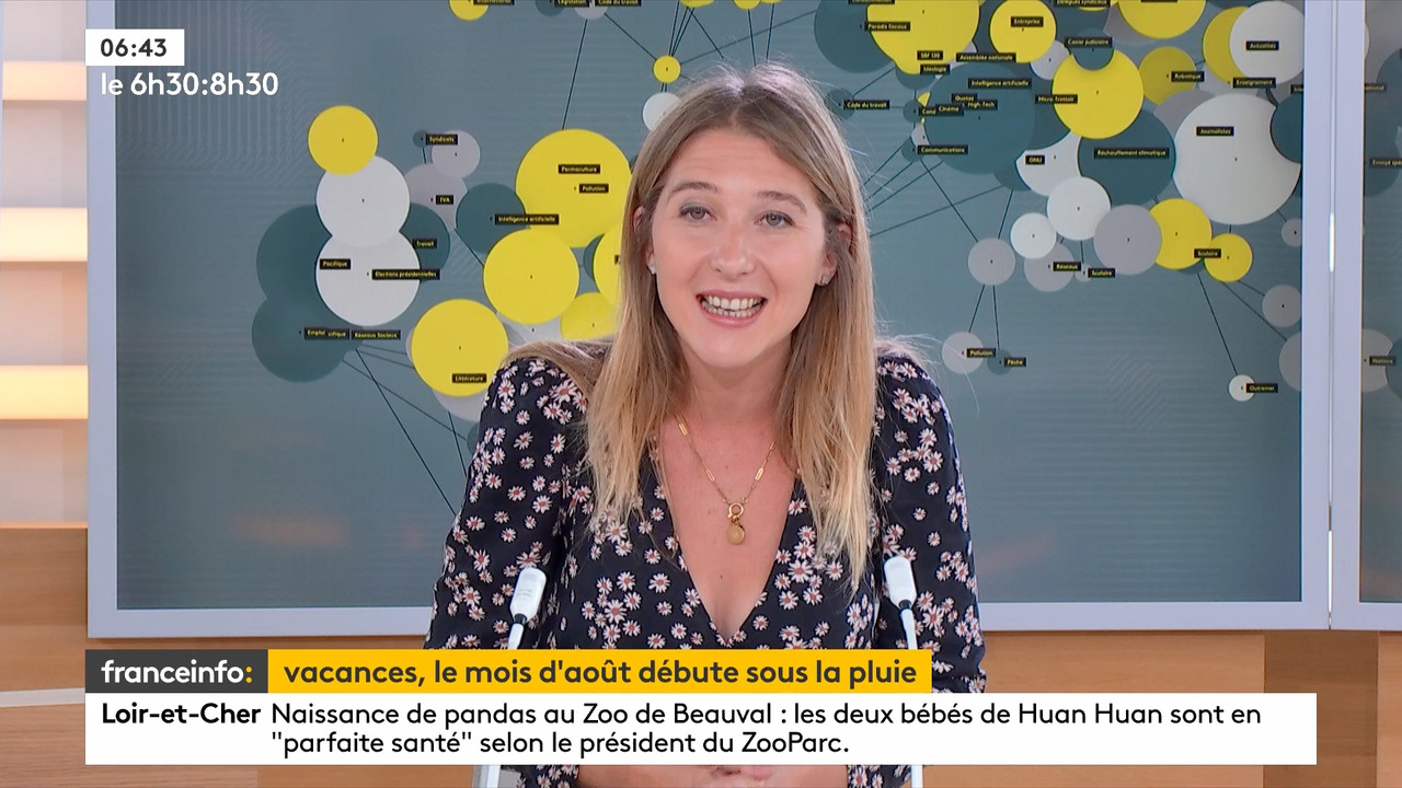 08.02 - 04.57.00 - franceinfo  et tout est plus clair. L'émission et ....ts_snapshot_34.19.050