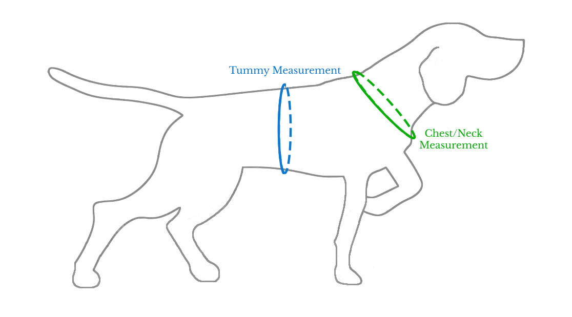 Standard Harness sizing diagram