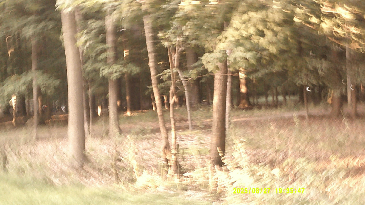 a green gradient