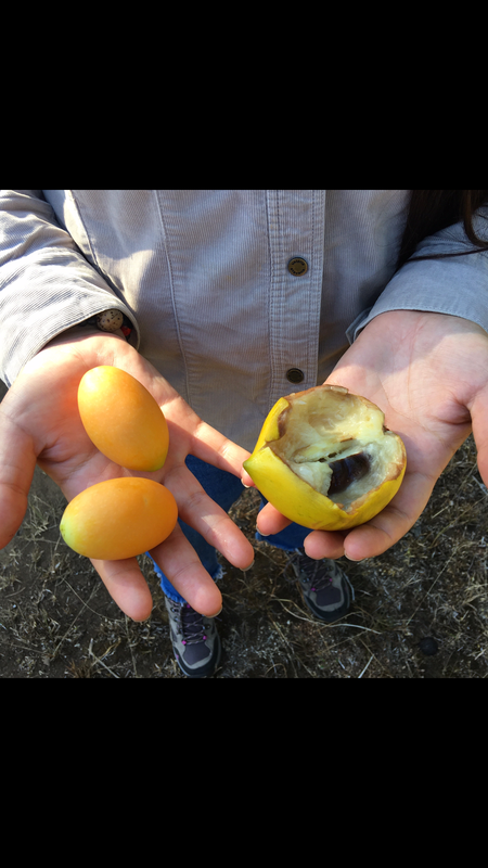 AB1E18CB-0B4D-4F37-830F-EF3266B0F1B8