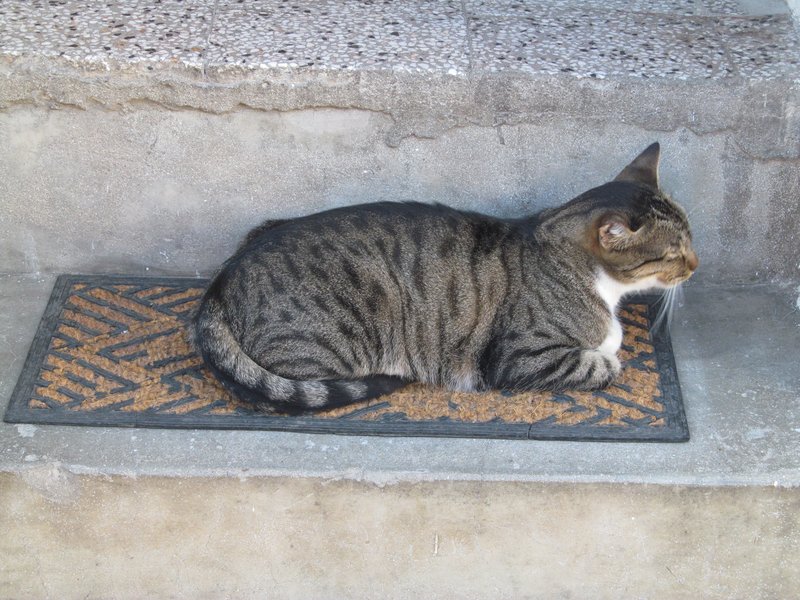 Slika