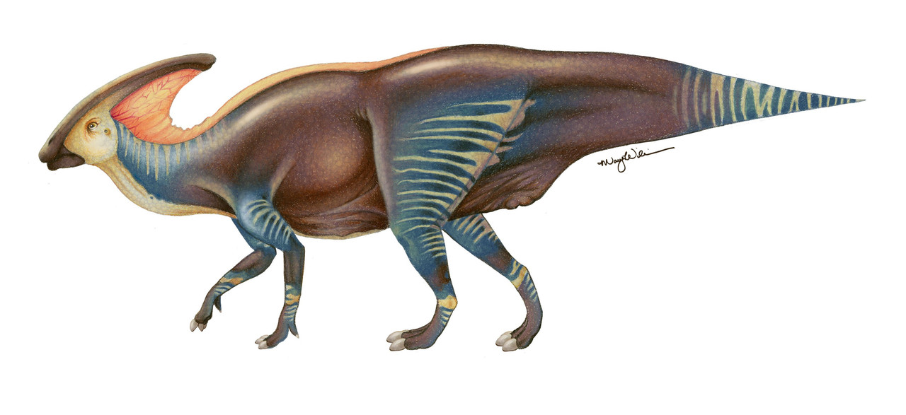 1660378690_46-pofoto-club-p-zaurolof-dinozavr-60