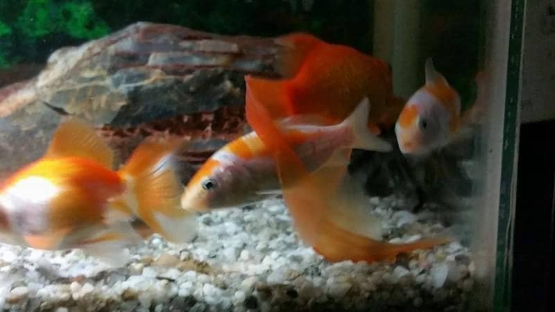 A785B5B8-3E7E-43D4-96DB-DEC94B43A5AE