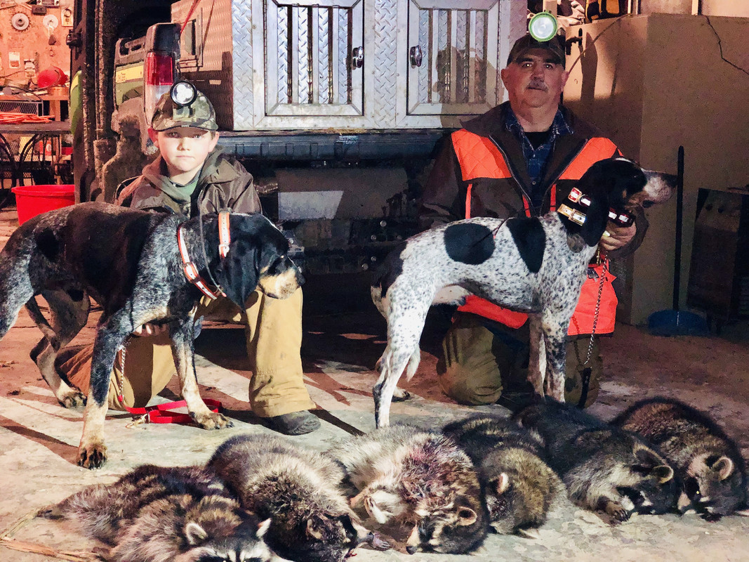 E84EBE5F-0C54-41D2-80F5-D5285F5B2777