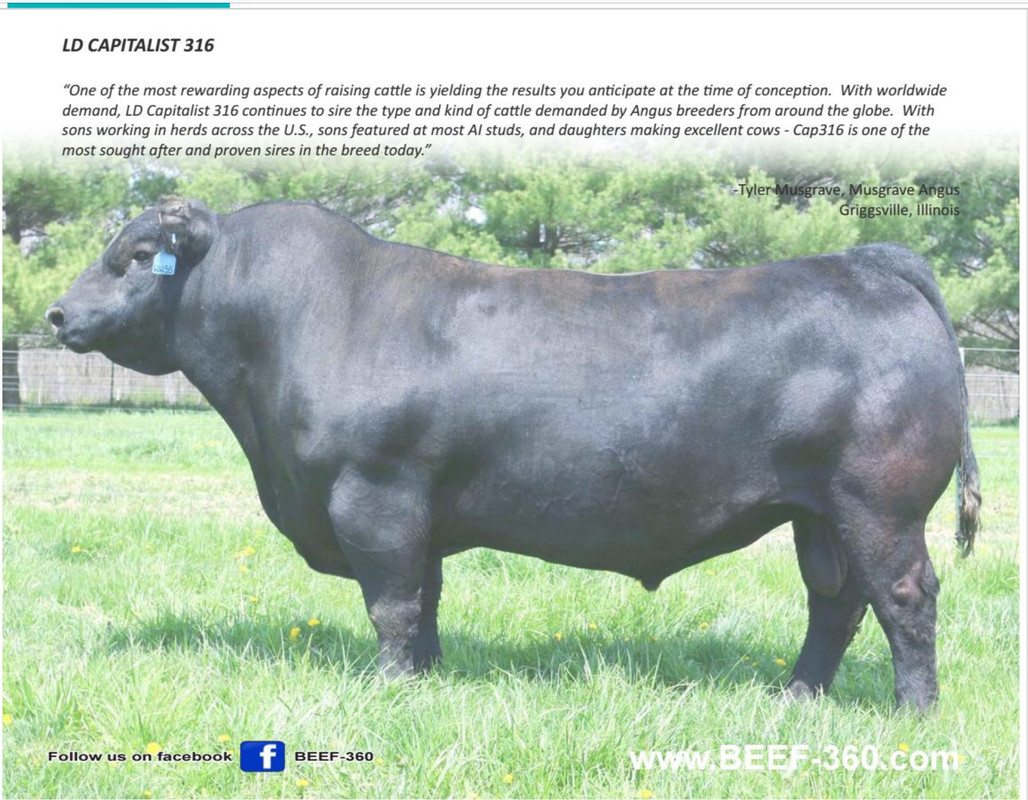 B4EFC3A3-9C13-4CDF-BFB2-EE408046AFCB