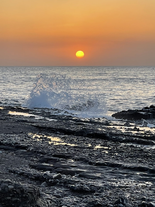 E4FD141C-E3C8-4D54-88A2-07A0966BCF77