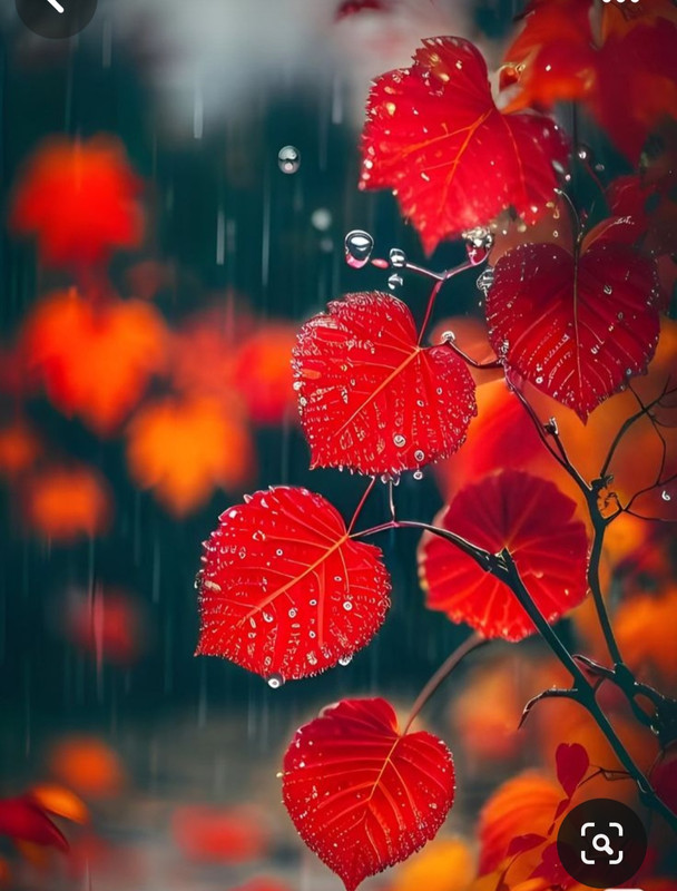 Screenshot_20231128_000955_Pinterest