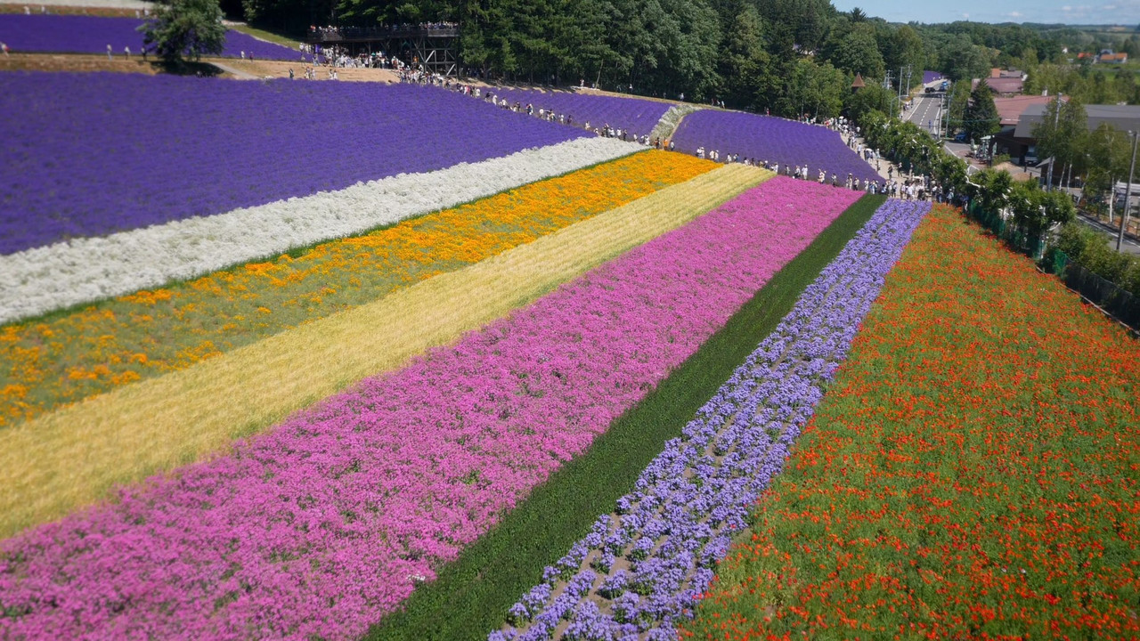 Japan Earth's Enchanted Islands (2015) - S01E01 - Honshu (1080p 