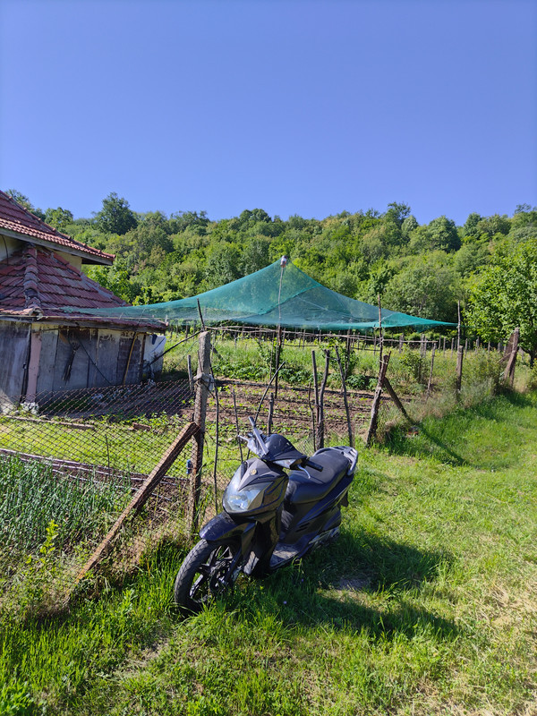 IMG 20260530 094709
