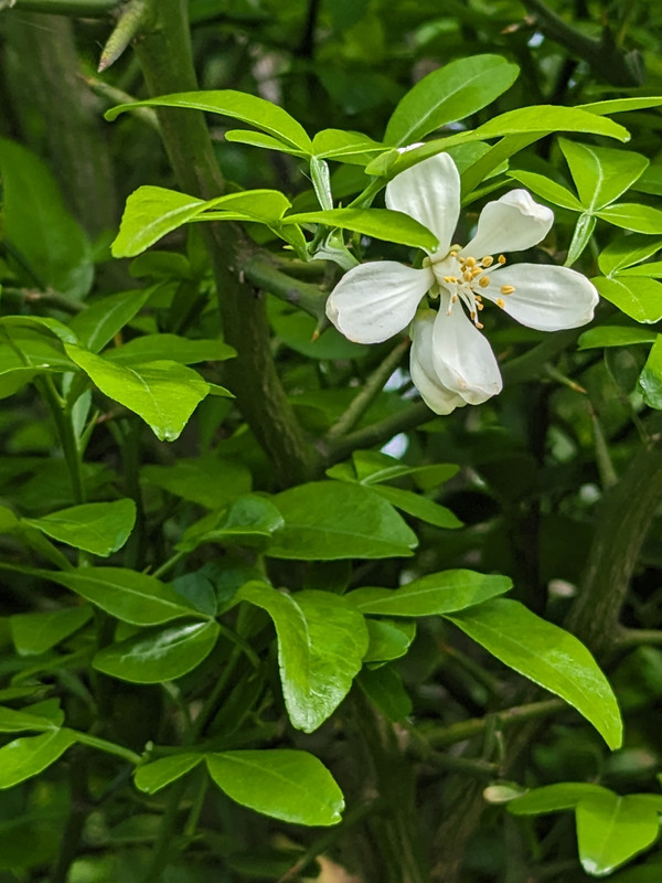 PXL_20240507_132536867