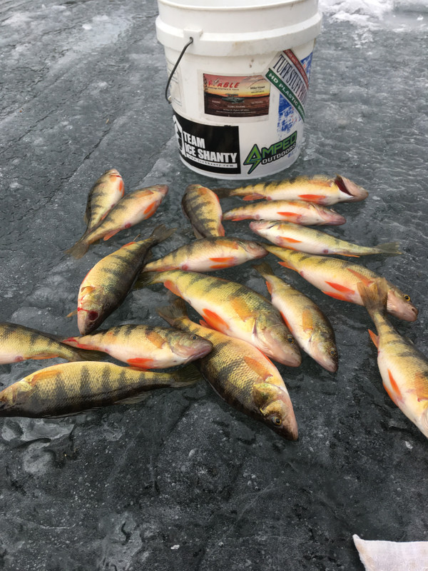 E61BE267-1C6D-4A32-86E6-3BD2BADC4FD9