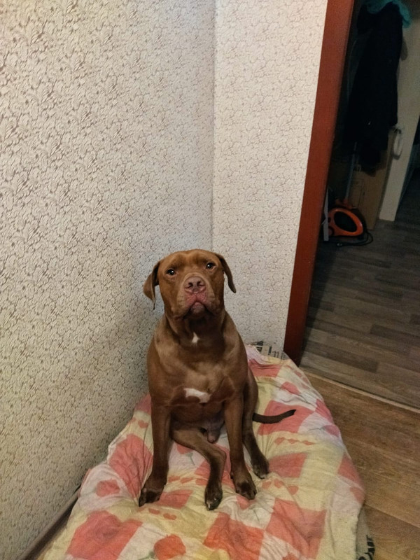 636368C5-F084-42B0-9F7E-DA9590F4CF46