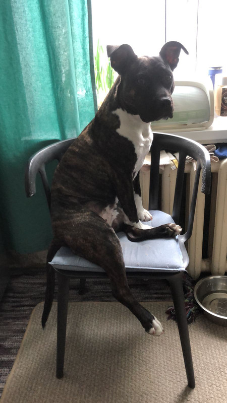 AC57EC2E-5E6E-4417-AF9B-9BD69A236DEA