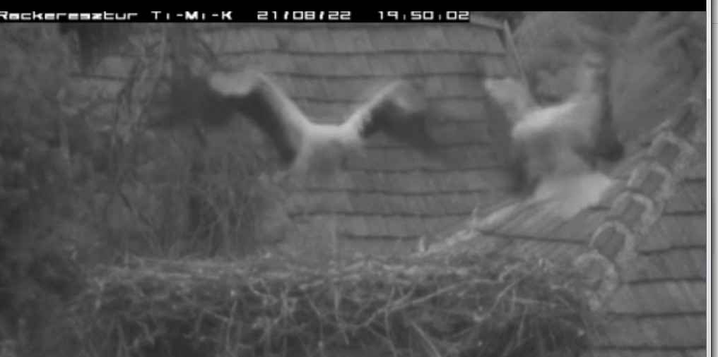 2021-08-22_202727érkezés