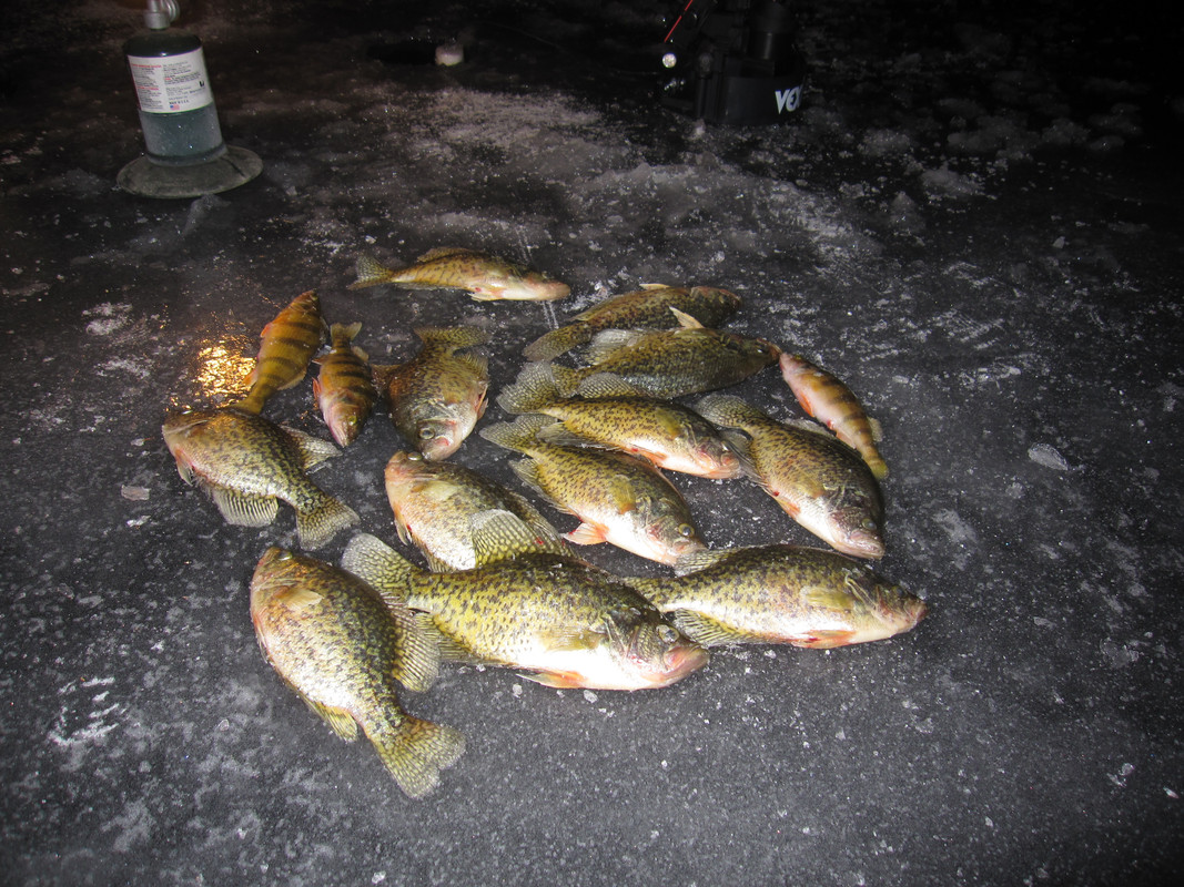 Lakeside  1 - 20 - 15 005