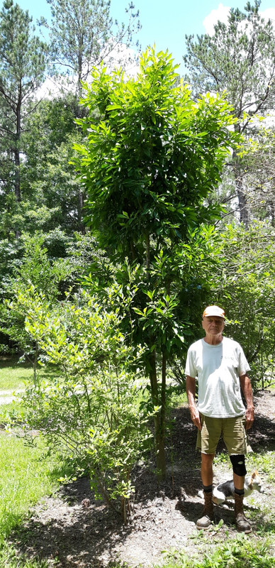 Resized_20220531_124121