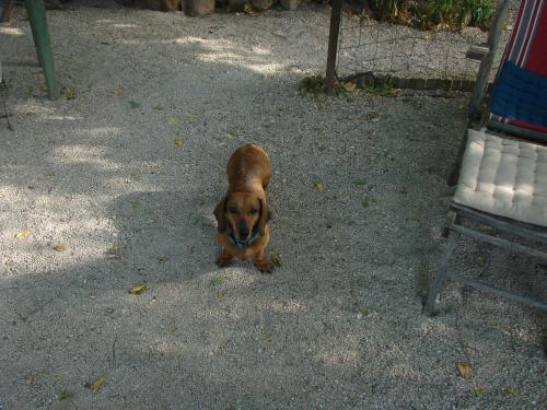 [Image: 365416778266f089157dd4fe3b75c6ac.jpg]