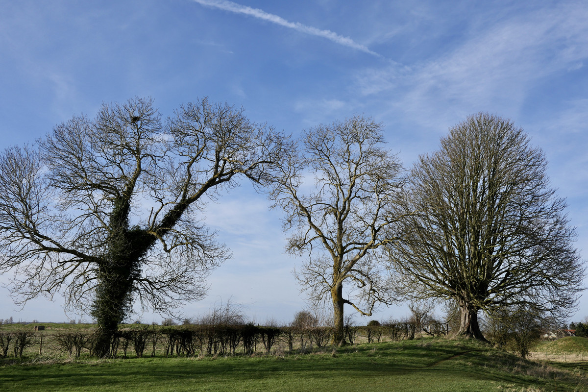 646341C0-999F-4606-A3C2-B49744B4682A