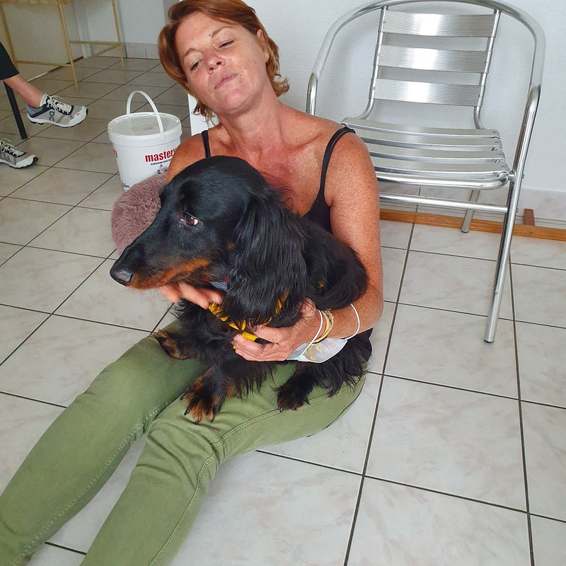 [Image: 20200905-150458.jpg]