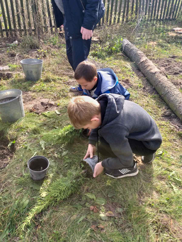 0-02-05-570a33ea5357aa98a4ff99906a7aedde385210ed8994a8d97f3cc75fa7d43074_3fe1a9aa