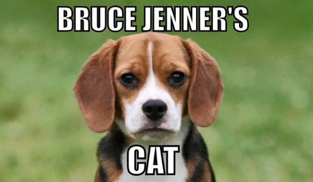 Bruce_Jenners_Cat