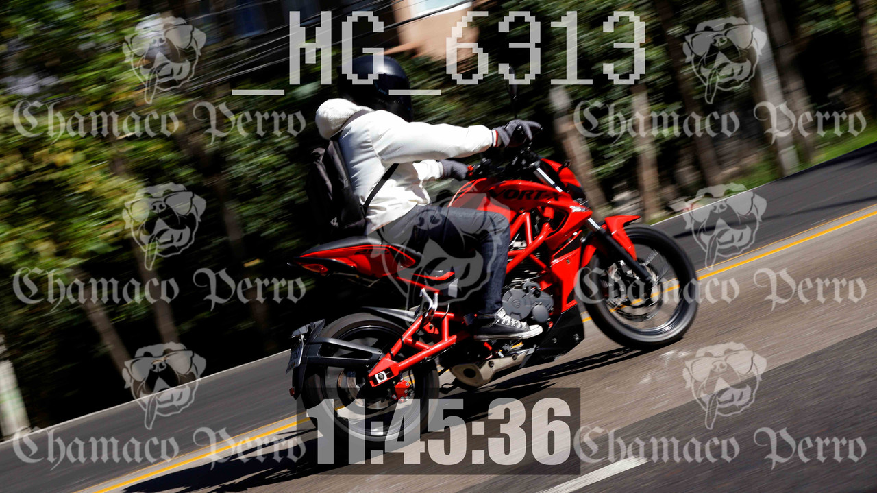 MUESTRA MG 6313 — Postimages