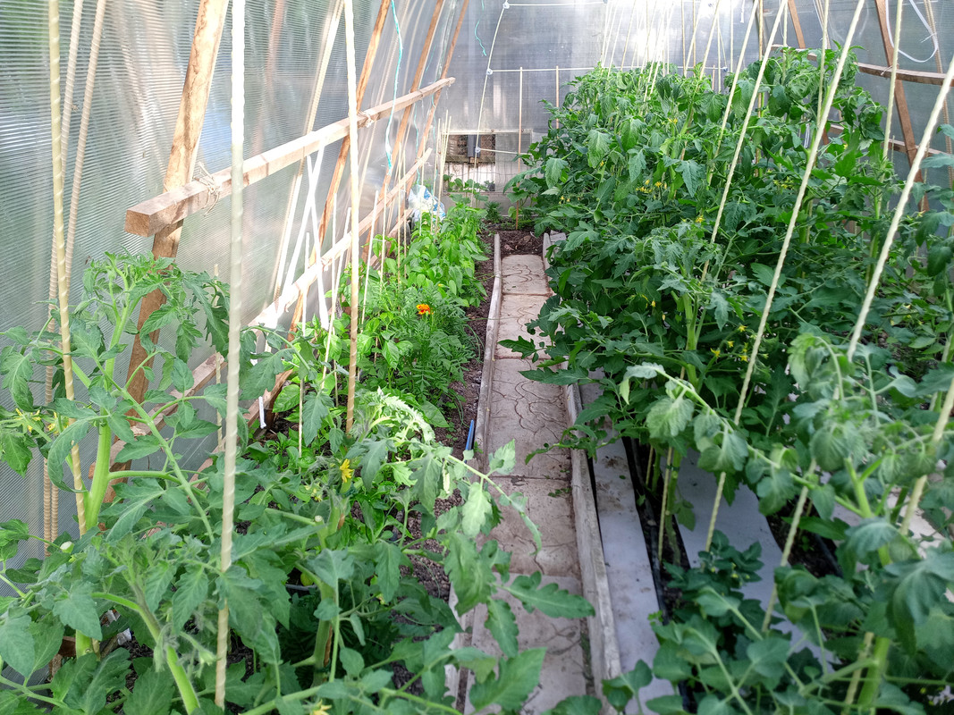 IMG_20250602_182957_030