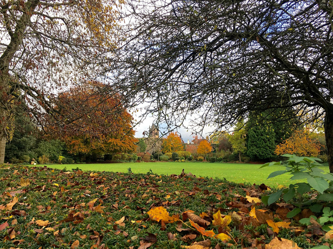 H-park-2-Autumn-HD.jpg