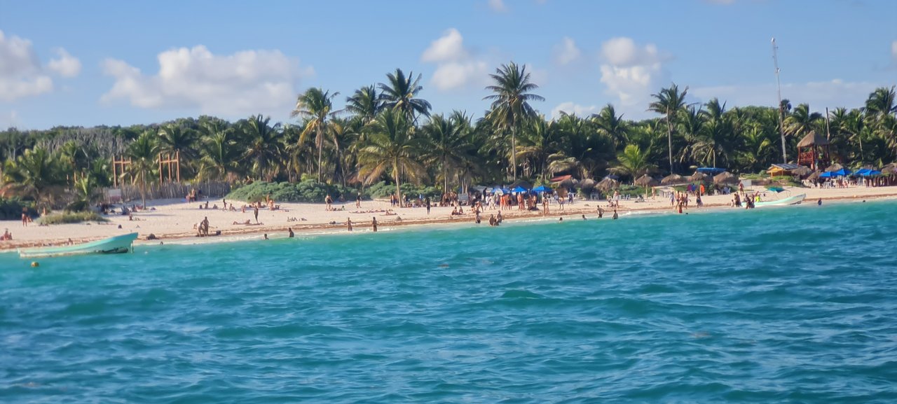 Ruinas de Tulum, Cobá, el Gran Cenote y snorkel con tortugas en playa Paraíso - Riviera Maya en Navidad (23)