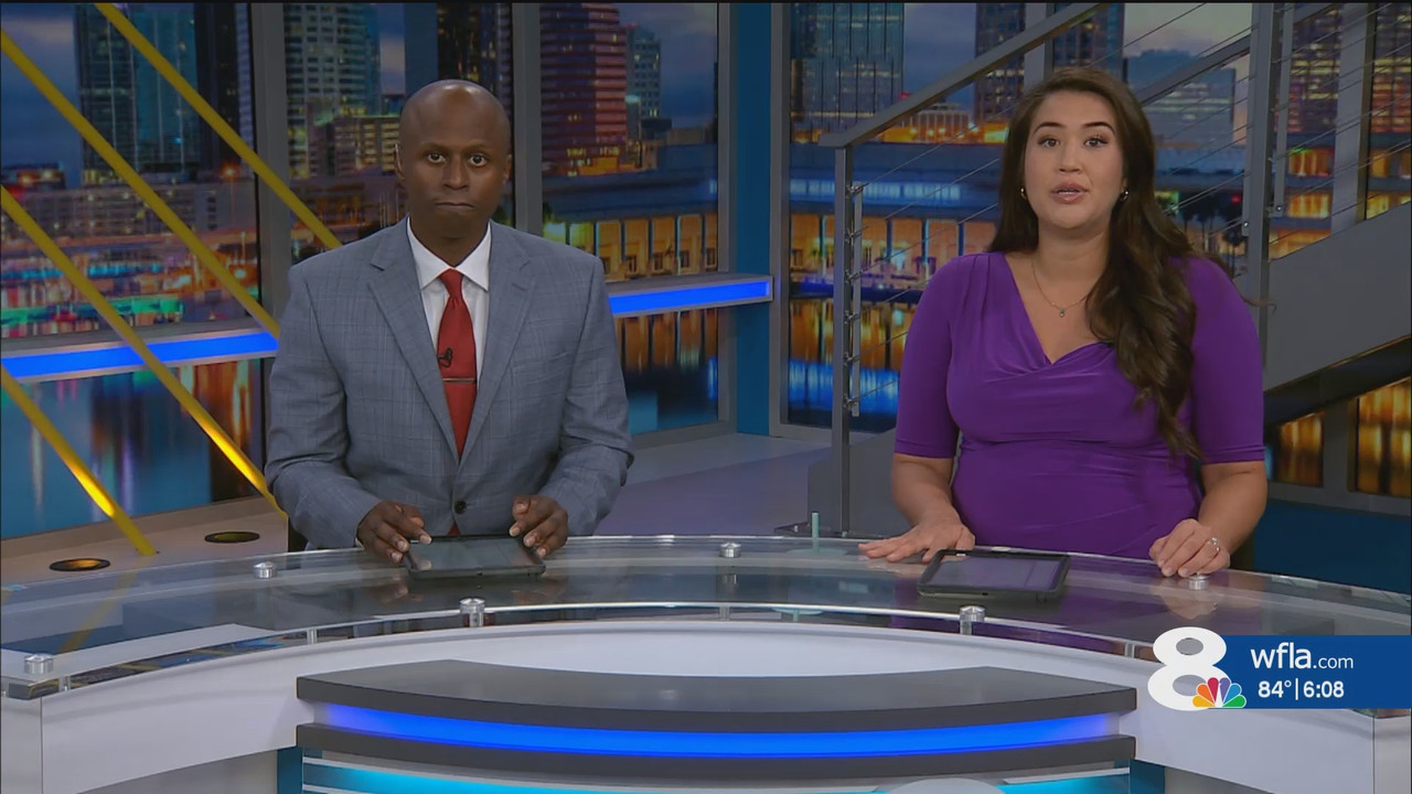 NewsChannel 8 at 6p Sunday_20250706_23002330.ts_snapshot_09.42.200