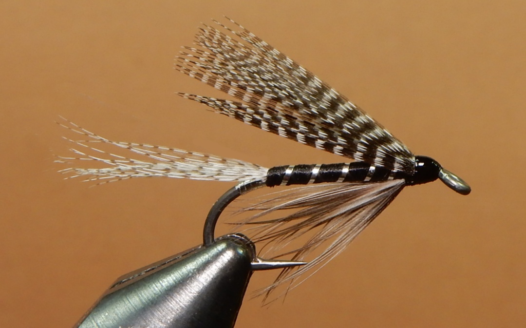 Silver-Black-1080.jpg