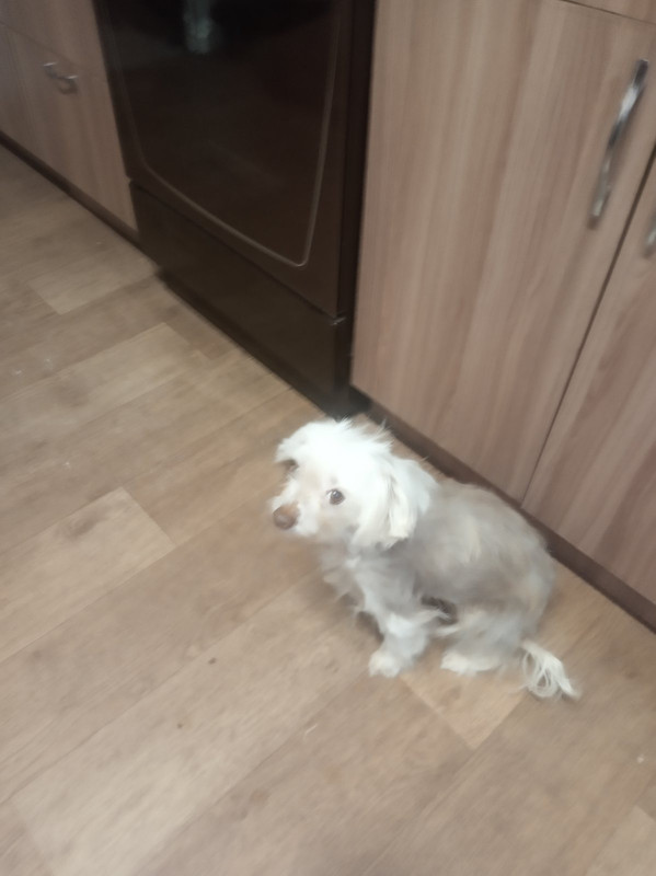 9B3AAEB8-2802-44DC-82F5-5BCBDA359343