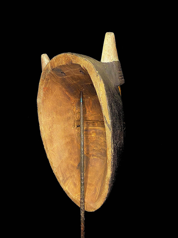 large image 11