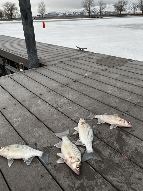 E6CA53FA-4442-4DBE-9DF6-34BD76978FFB