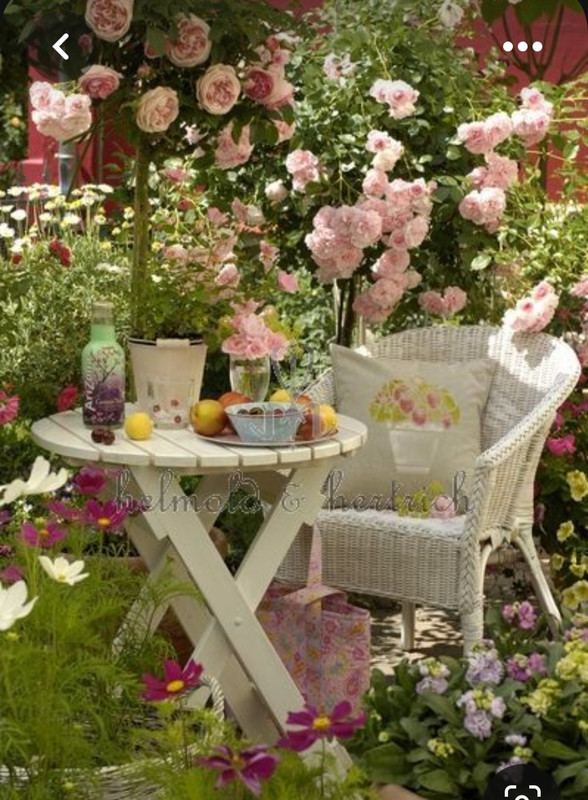 Screenshot_20230710_232130_Pinterest